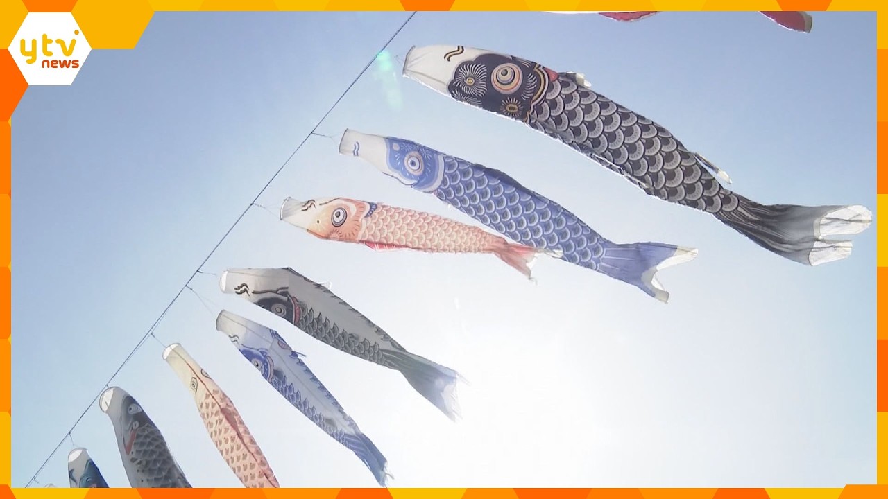 100匹ほどが青空に　こいのぼりの「丹生川渡し」子どもたちの成長願い今年で41回目　和歌山