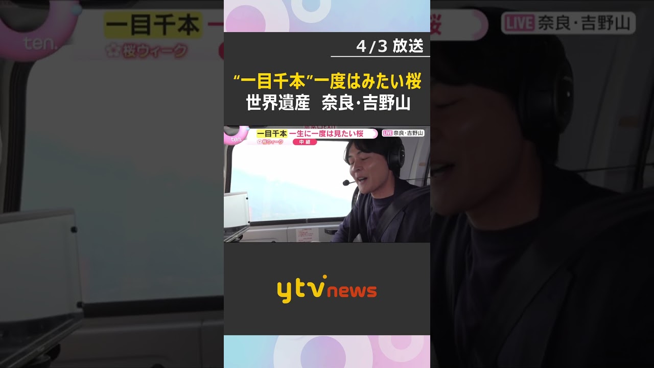 【空から花見③】“一目千本”ならぬ“一目3万本”　一生に一度は見たい日本古来の桜　奈良・吉野山　#shorts　#読売テレビニュース