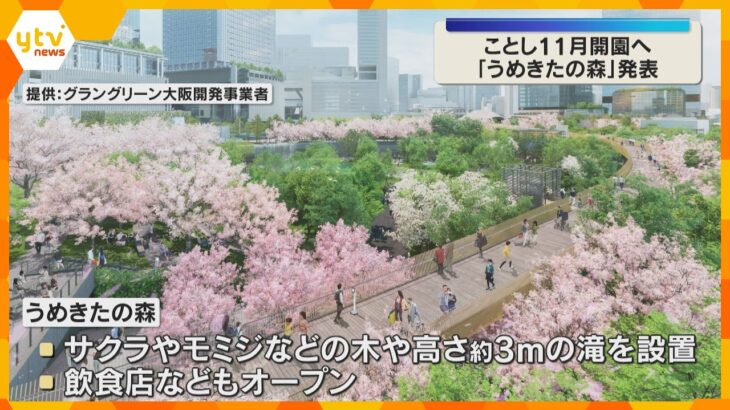 高さ約3mの滝も！うめきたエリアに自然いっぱいの“森” 今秋オープン「都会のオアシス」目指し