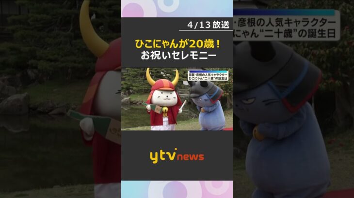 ひこにゃんが“二十歳”の誕生日でお祝いセレモニー　お酒とたばこを模したチョコレートもプレゼント　#shorts　#読売テレビニュース