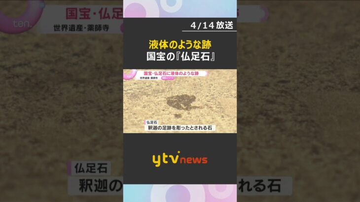 「つらいし、悲しい」国宝・仏足石に液体のような跡　文化財保護法違反の疑いで捜査　世界遺産・薬師寺　#shorts　#読売テレビニュース