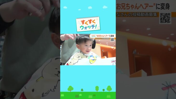 子ども専用の美容院で“お兄ちゃんヘアー”に変身ズッソキッズ あべの店#shorts #読売テレビニュース #じゅーっと #すくすくウォッチ #六甲山牧場　#子ヤギ