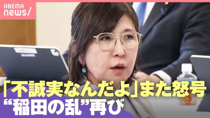 【また稲田の乱】「不誠実なんだよ」稲田議員が再び怒号…カメラ前での大紛糾にネットでは“ハマコー議員”彷彿も｜わたしとニュース
