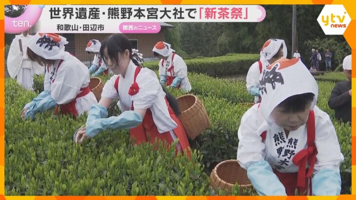 世界遺産・熊野本宮大社で一番茶を摘み取る新茶祭　平安時代起源とされる「音無茶」出荷は7月ごろまで