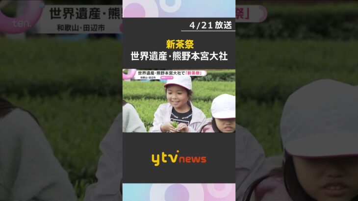 世界遺産・熊野本宮大社で一番茶を摘み取る新茶祭　平安時代起源とされる「音無茶」出荷は7月ごろまで　#shorts　#読売テレビニュース