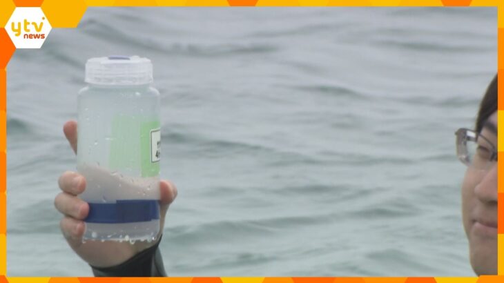 夏のシーズンを前に…「海開き」に向けて水質調査　透明度や大腸菌の数など9項目を評価　兵庫