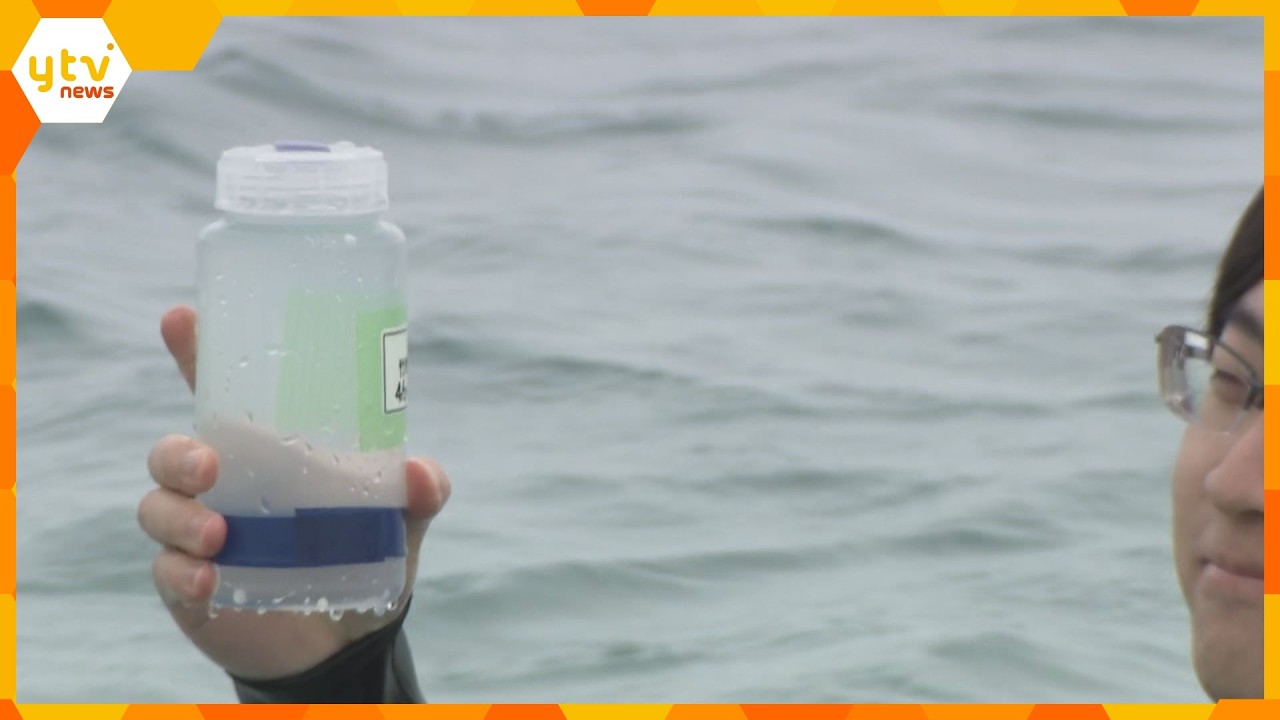 夏のシーズンを前に…「海開き」に向けて水質調査　透明度や大腸菌の数など9項目を評価　兵庫