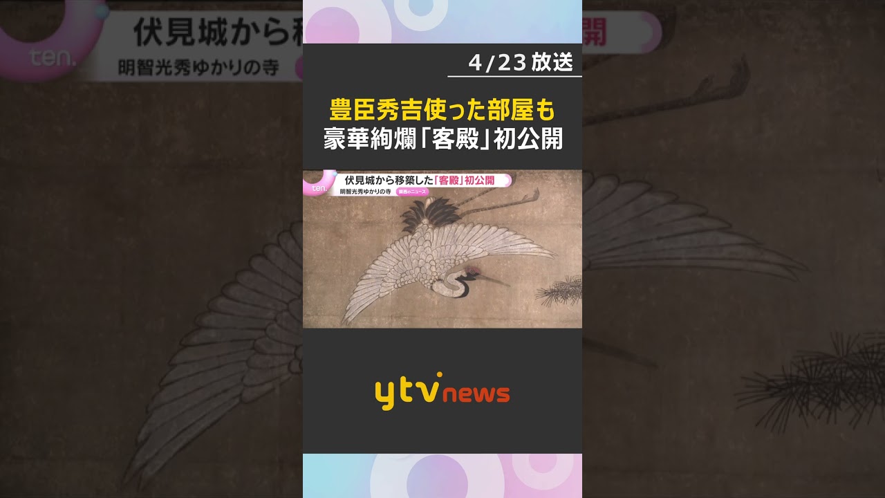 国の重要文化財「客殿」初公開　豊臣秀吉ゆかり「上座の間」など伏見桃山文化の魅力満載　滋賀・西教寺　#shorts　#読売テレビニュース