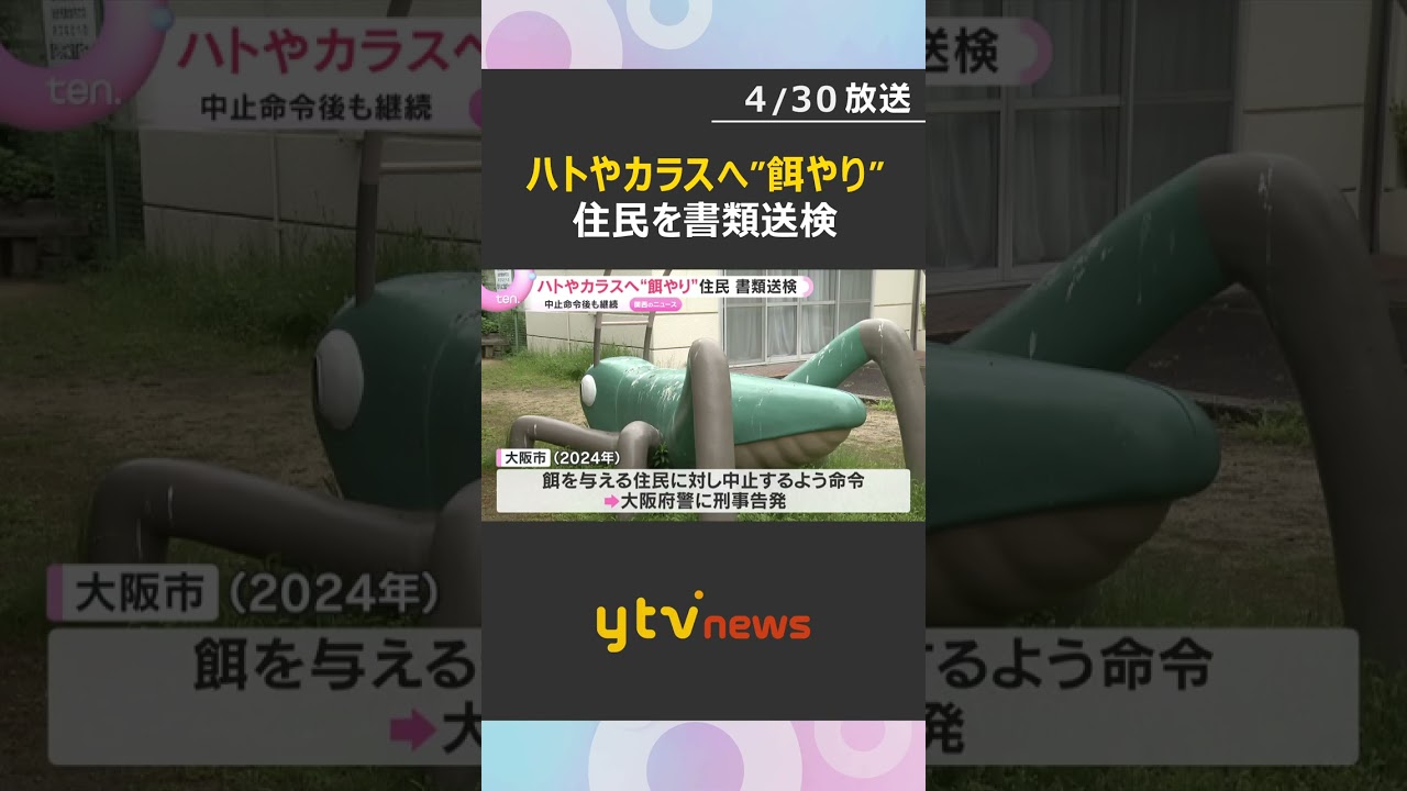 ハトやカラスへ”餌やり”続ける住民に対し動物愛護法違反の疑いで書類送検　中止命令後も違反行為　#shorts #読売テレビニュース