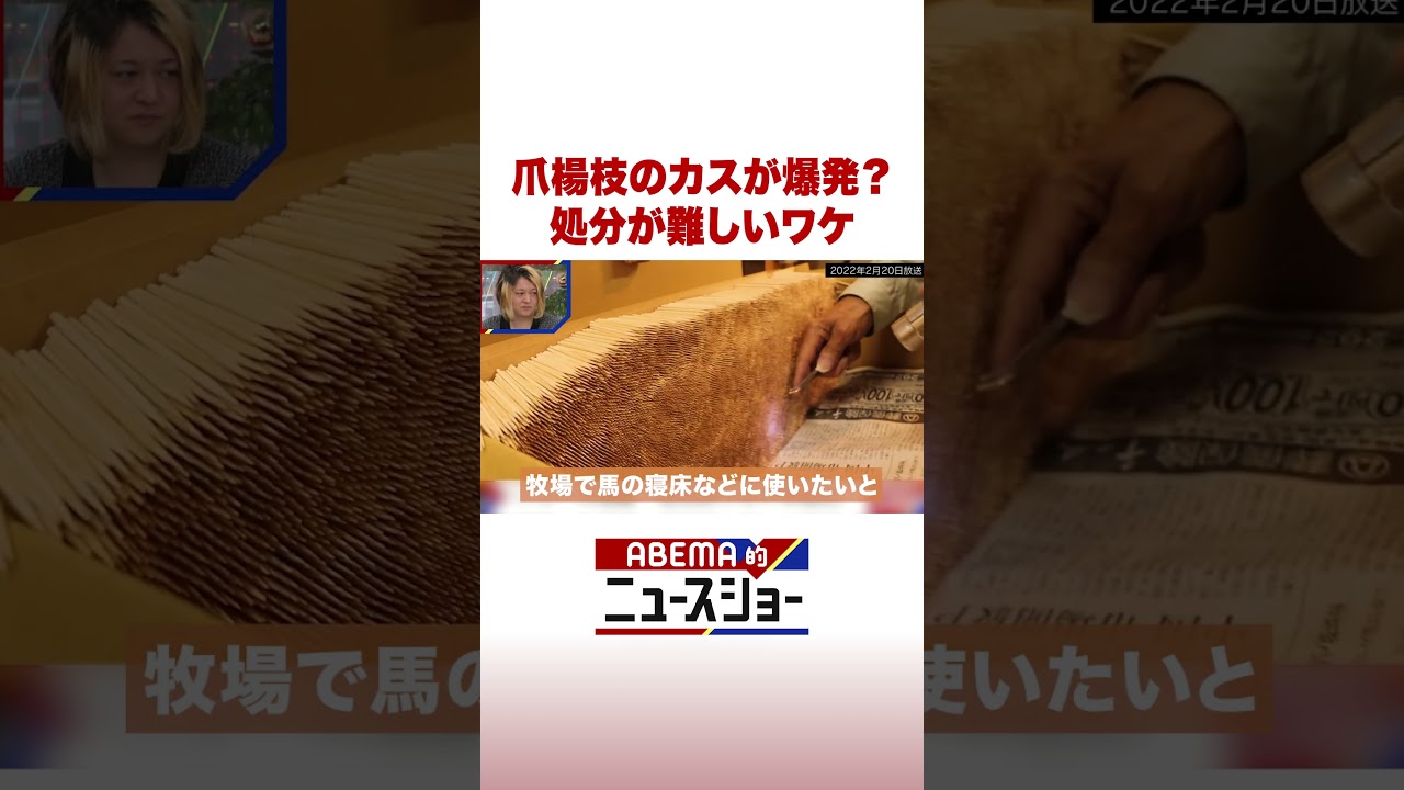 爪楊枝のカスが爆発？ 処分が難しいワケ #ABEMA的ニュースショー #Shorts