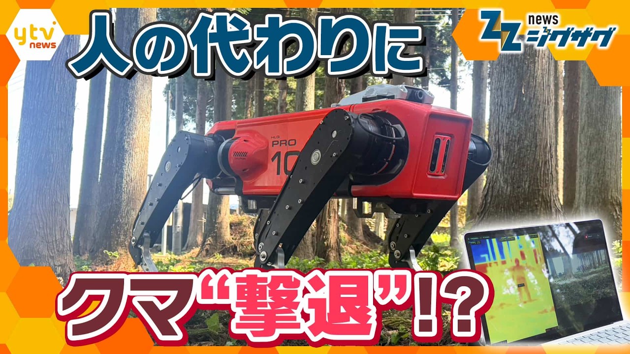 深刻化するクマ被害…対策のカギは四足歩行AIロボット？人とクマの“すみ分け”を実現へ【ニュース ジグザグ】