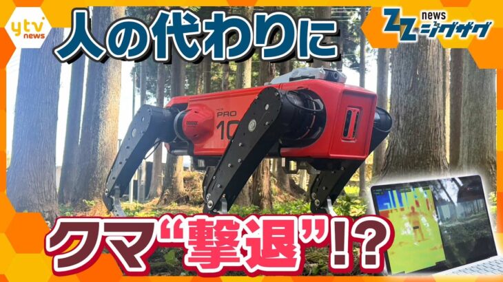 深刻化するクマ被害…対策のカギは四足歩行AIロボット？人とクマの“すみ分け”を実現へ【ニュース ジグザグ】