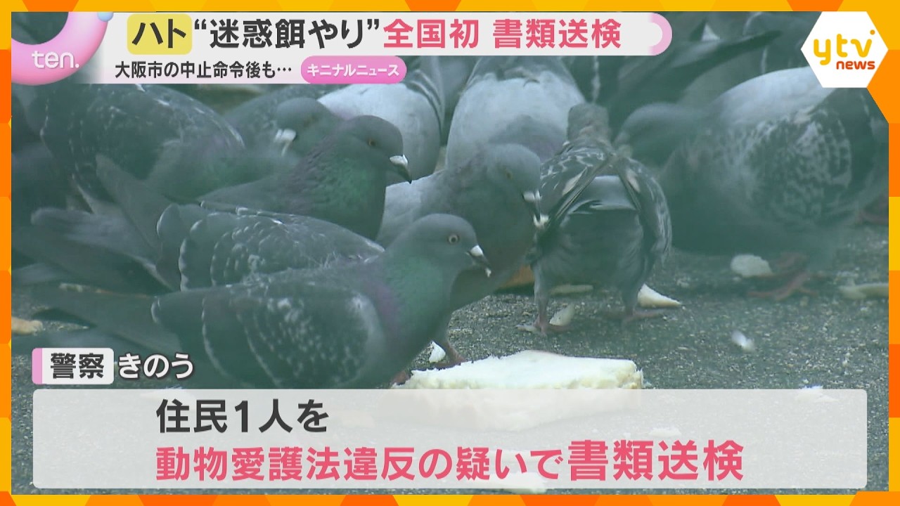 ハトへ“迷惑な餌やり”全国で初めて住民を書類送検　大阪市が異例の中止命令後もエサやり行為を継続　