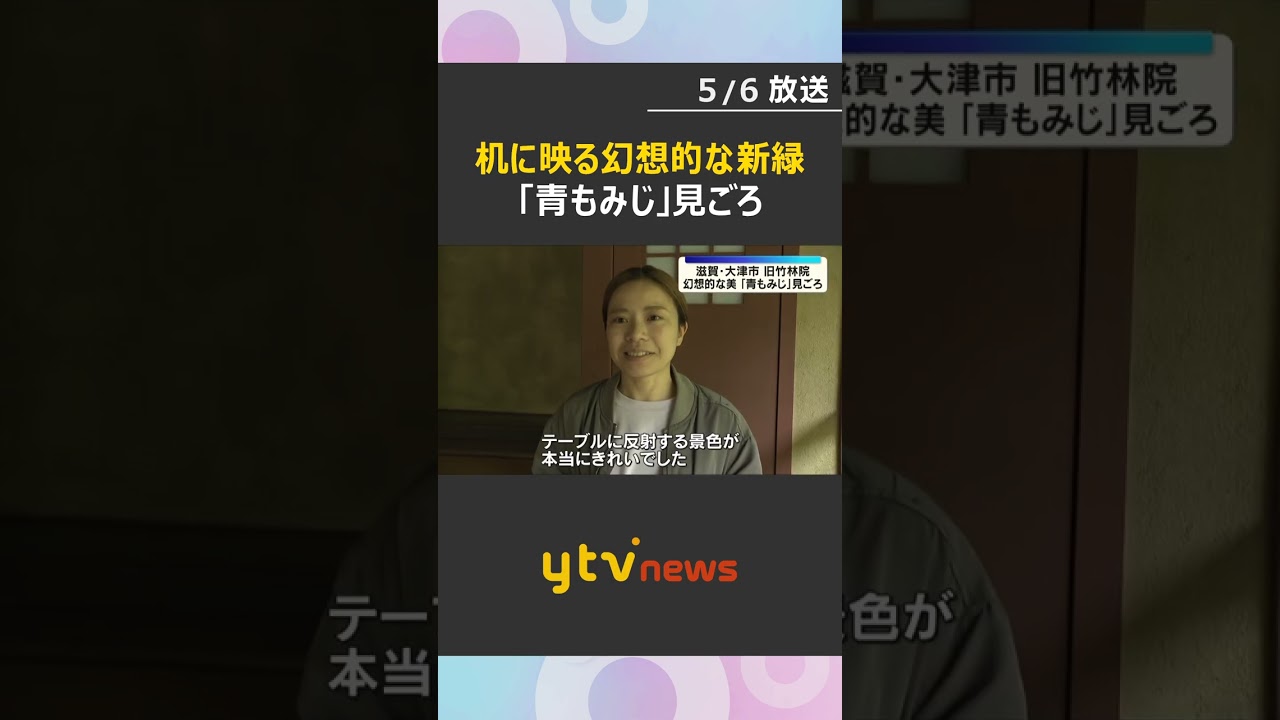 「反射する景色が本当にきれい」机に映りこむ幻想的な新緑『青もみじ』見ごろ　滋賀県大津市の旧竹林院　#shorts　#読売テレビニュース