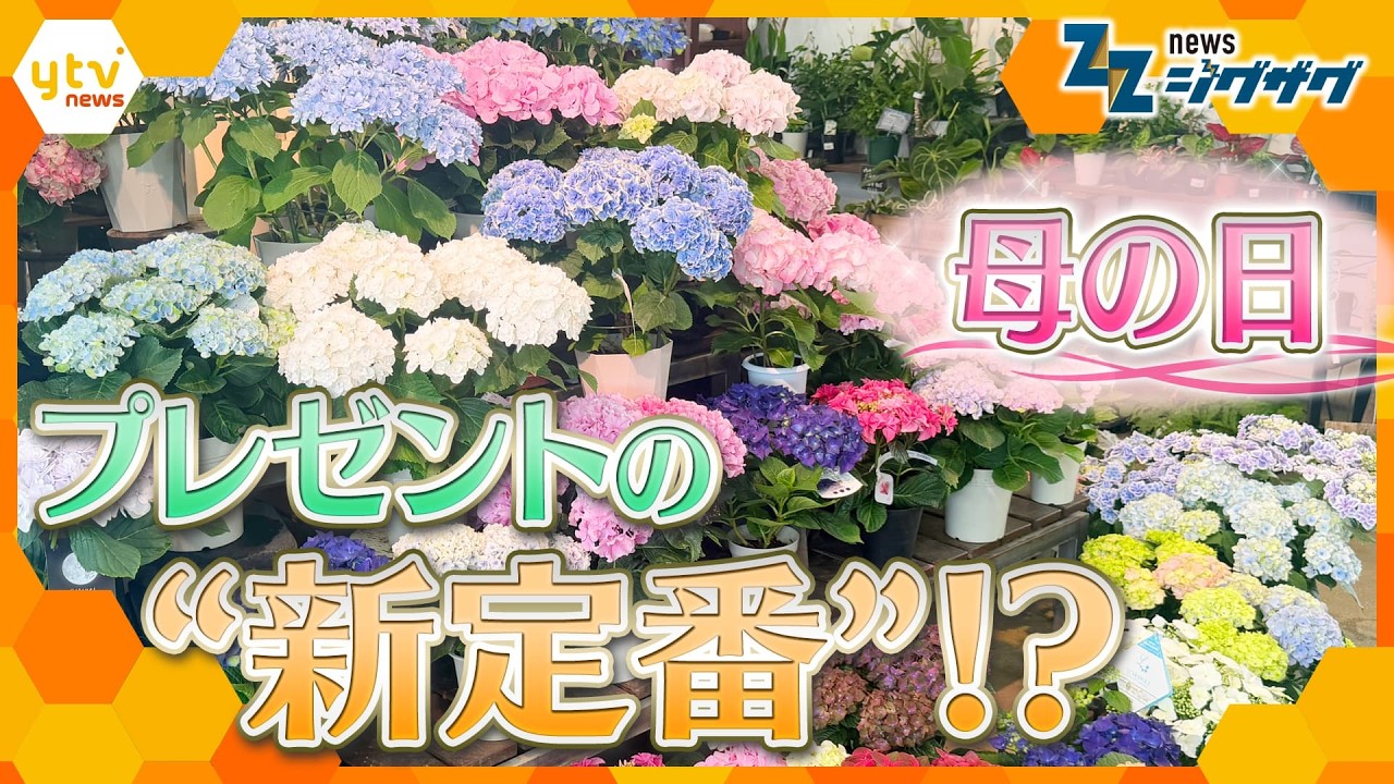 「母の日」の“定番”が変わった？！意外なものが急浮上【ニュース ジグザグ】