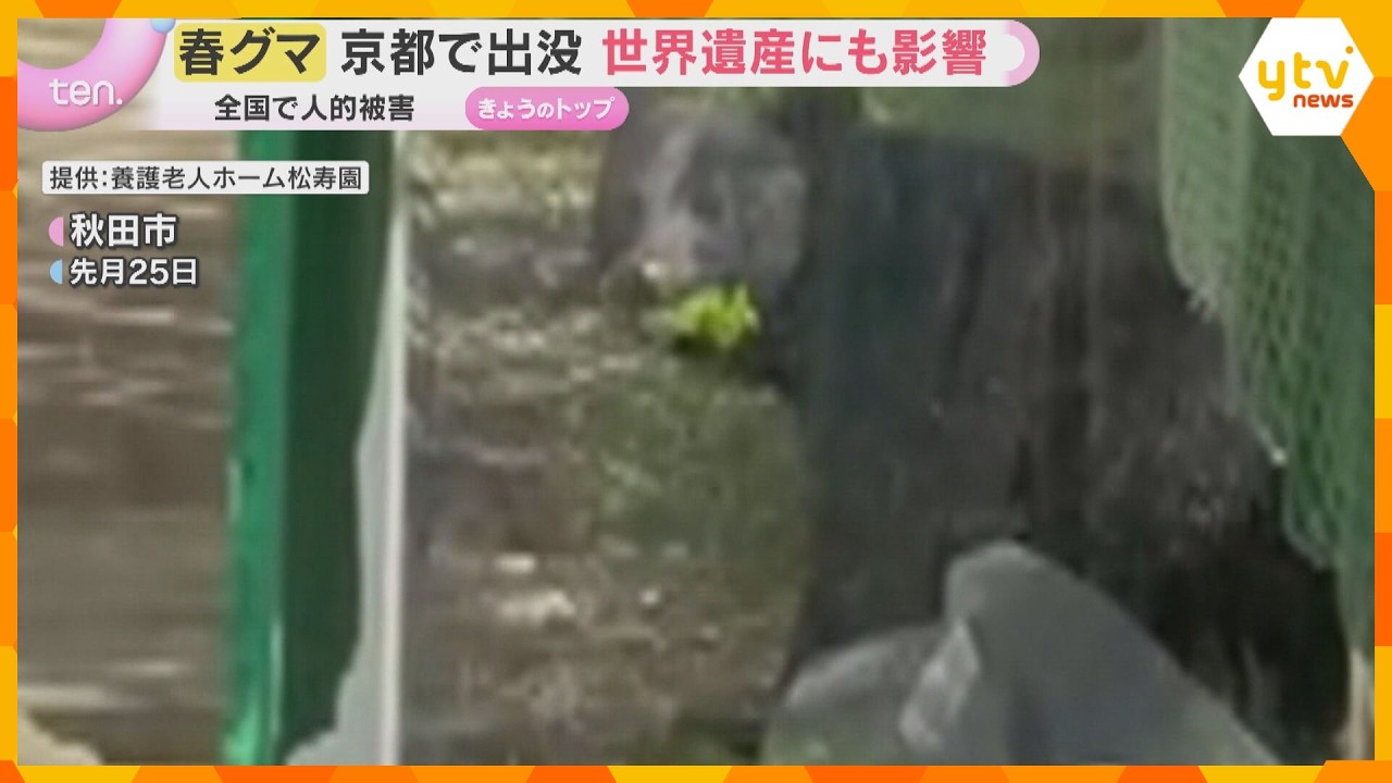 “春グマ”被害相次ぐ　京都の観光名所付近に出没し世界遺産にも影響　ハンター育成にある“壁”とは？