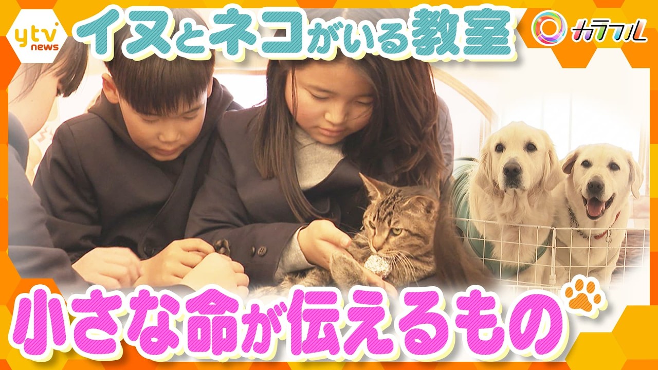 出会いと別れ…「動物介在教育」で育む児童の心　教科書に載っていない”学び”で命と向き合う【かんさい情報ネット ten.特集/カラフル】