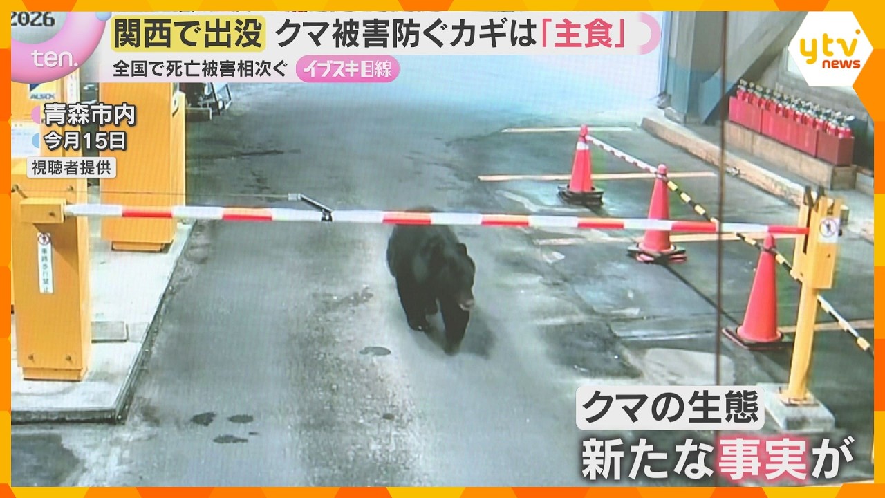 【新事実】クマの“ドングリ離れ”進み、主食が『ベリー類』に変化へ　被害拡大と出没予測にも影響か