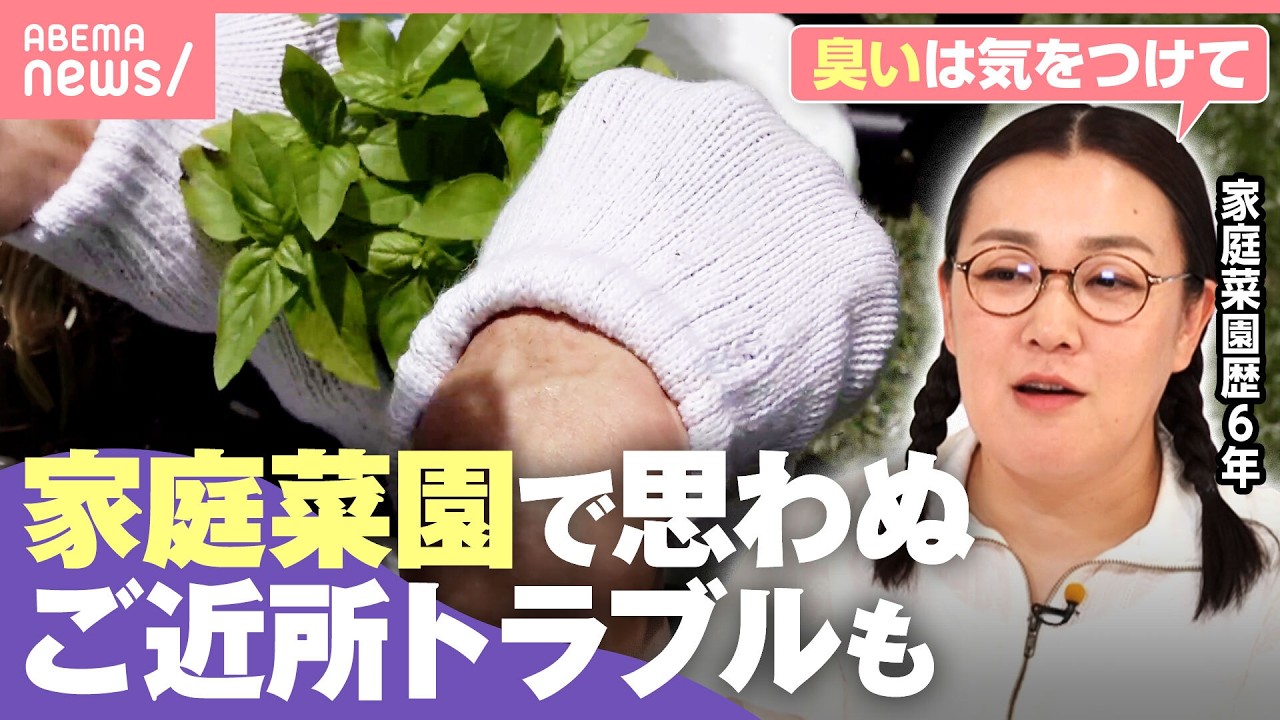 【家庭菜園】肥料に虫…隣人トラブルに発展も?注意点は 物価高の救世主“コスパ最強野菜”って?専門家に聞く|わたしとニュース