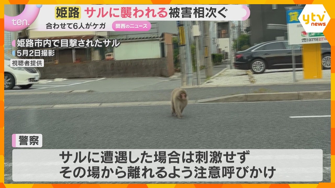 「近くに来ると怖い」サルに襲われる被害相次ぐ　住宅街で中学生がひっかかれるなどケガ　兵庫・姫路市