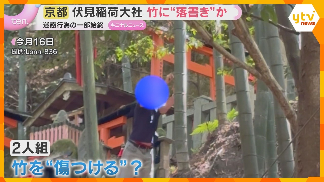 【目撃】竹林に落書きか「石みたいなもの持って…」動画撮影者語る迷惑行為の一部始終　京都・伏見稲荷