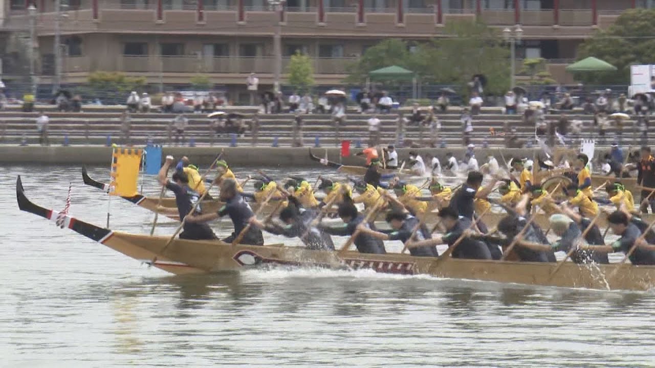 初夏の訪れ告げる「相生ペーロン祭」に歓声