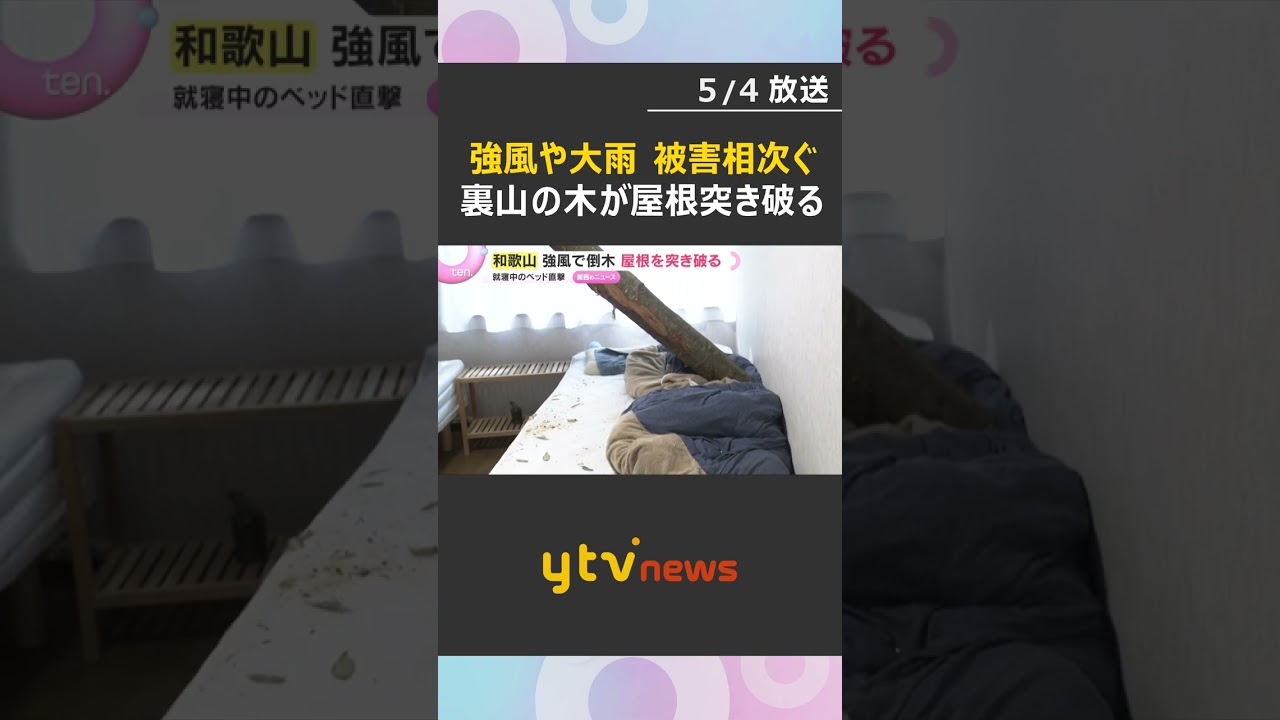 【GWの嵐】「あと数センチずれていたら…」裏山の倒木が住宅の屋根を突き破る　大雨による土砂崩れも　#shorts　#読売テレビニュース