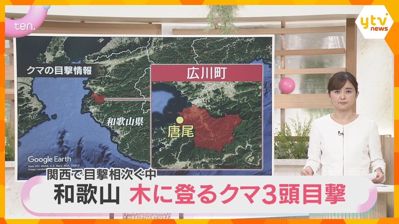 【警戒】子グマ3頭が木に登る姿を目撃 被害の情報なし 町が看板設置し注意呼びかけ 和歌山・広川町