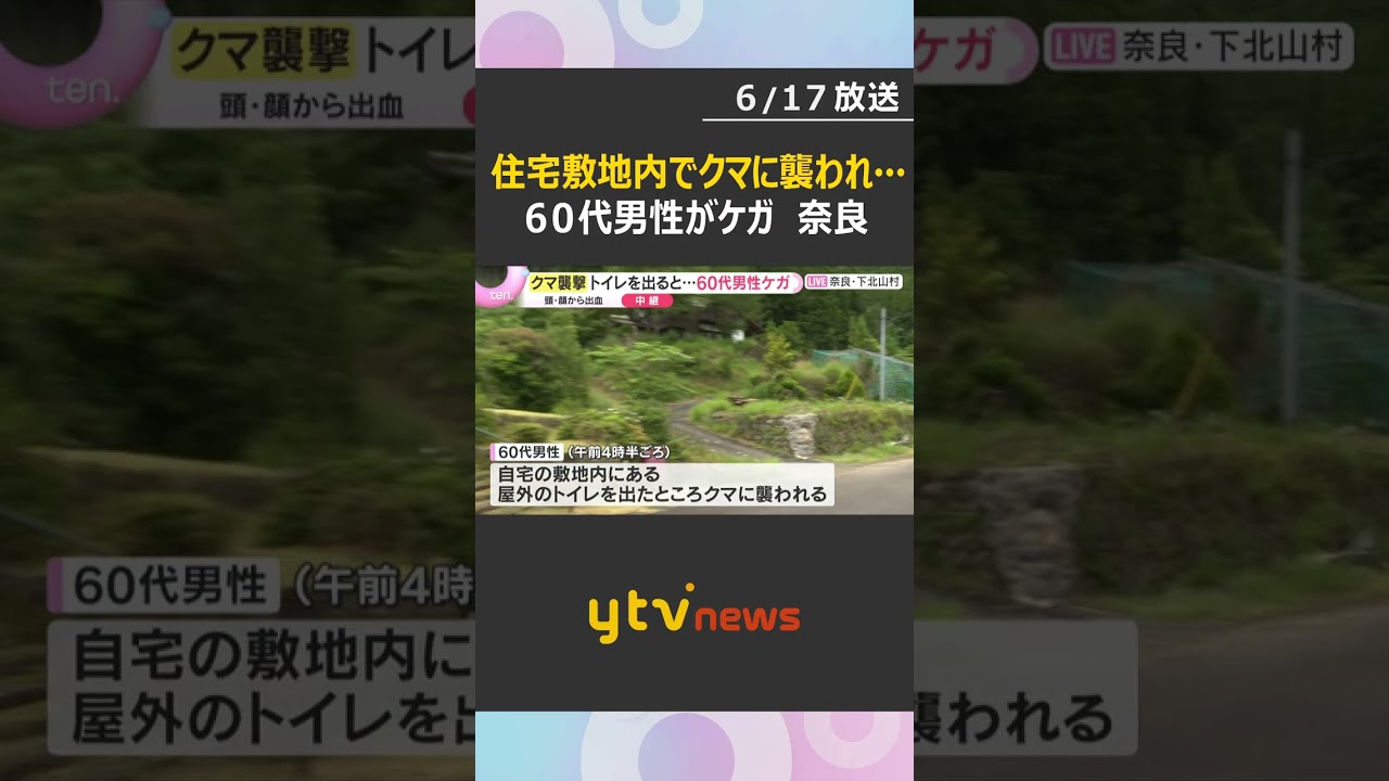 自宅のトイレを出たところクマに襲われ…60代男性が頭や顔にケガ 猟友会などが捜索 奈良・下北山村 #shorts #読売テレビニュース