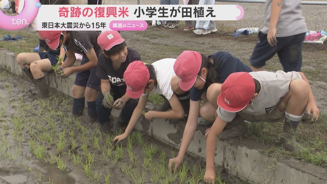 【絆】「ずっと続けて多くの人に知ってもらいたい」”奇跡の復興米”今年も田植え　東日本大震災から15年　＃知り続ける
