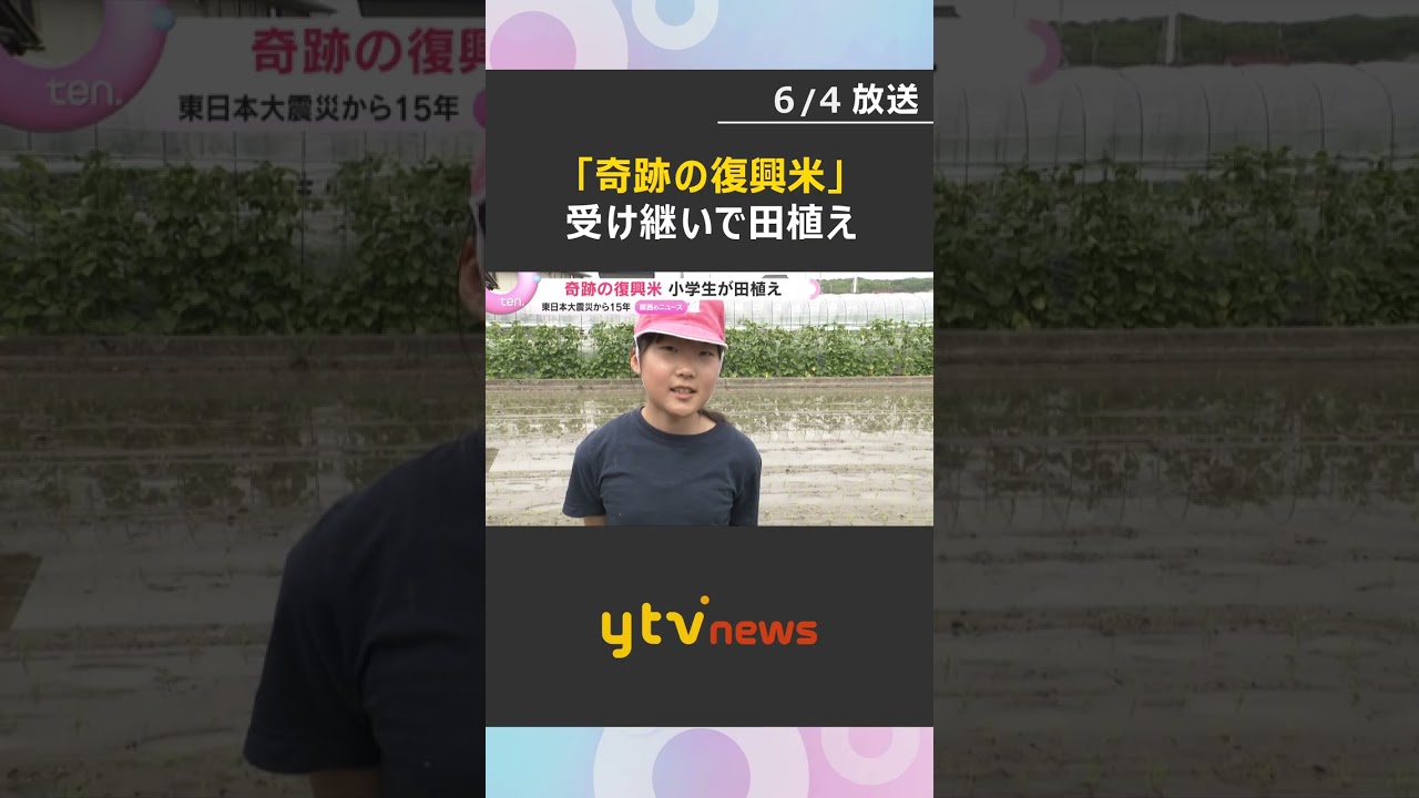 【絆】「ずっと続けて多くの人に知ってもらいたい」”奇跡の復興米”今年も田植え　東日本大震災から15年　#shorts #読売テレビニュース