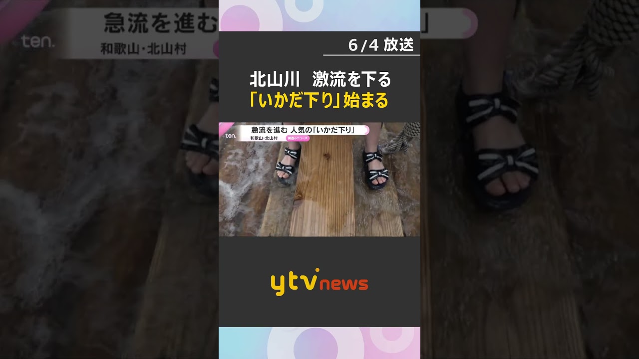 激流を下る“いかだの旅”　北山川でスリルと風情を体感　観光客に人気　和歌山・北山村　#shorts #読売テレビニュース