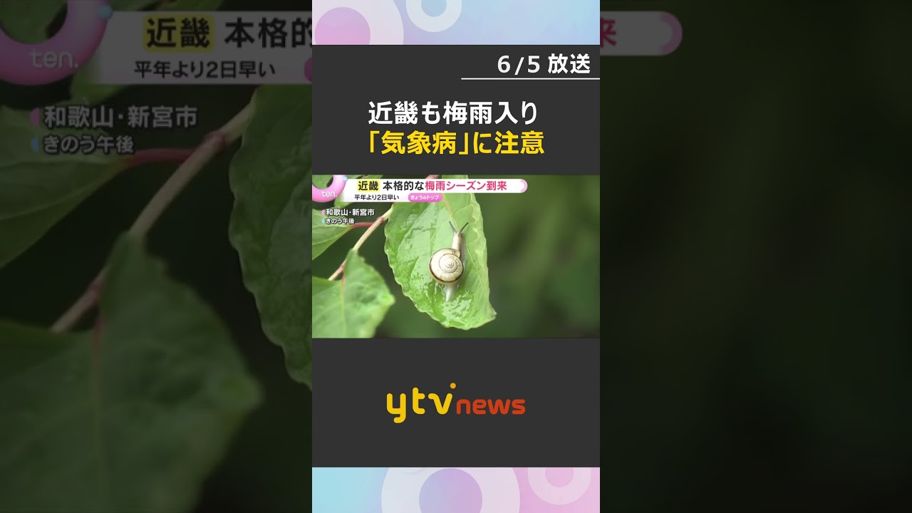 【要注意】天気の変化で起きる「気象病」本格的な梅雨　頭痛・めまい・肩こりなど体調不良のおそれ　#shorts #読売テレビニュース