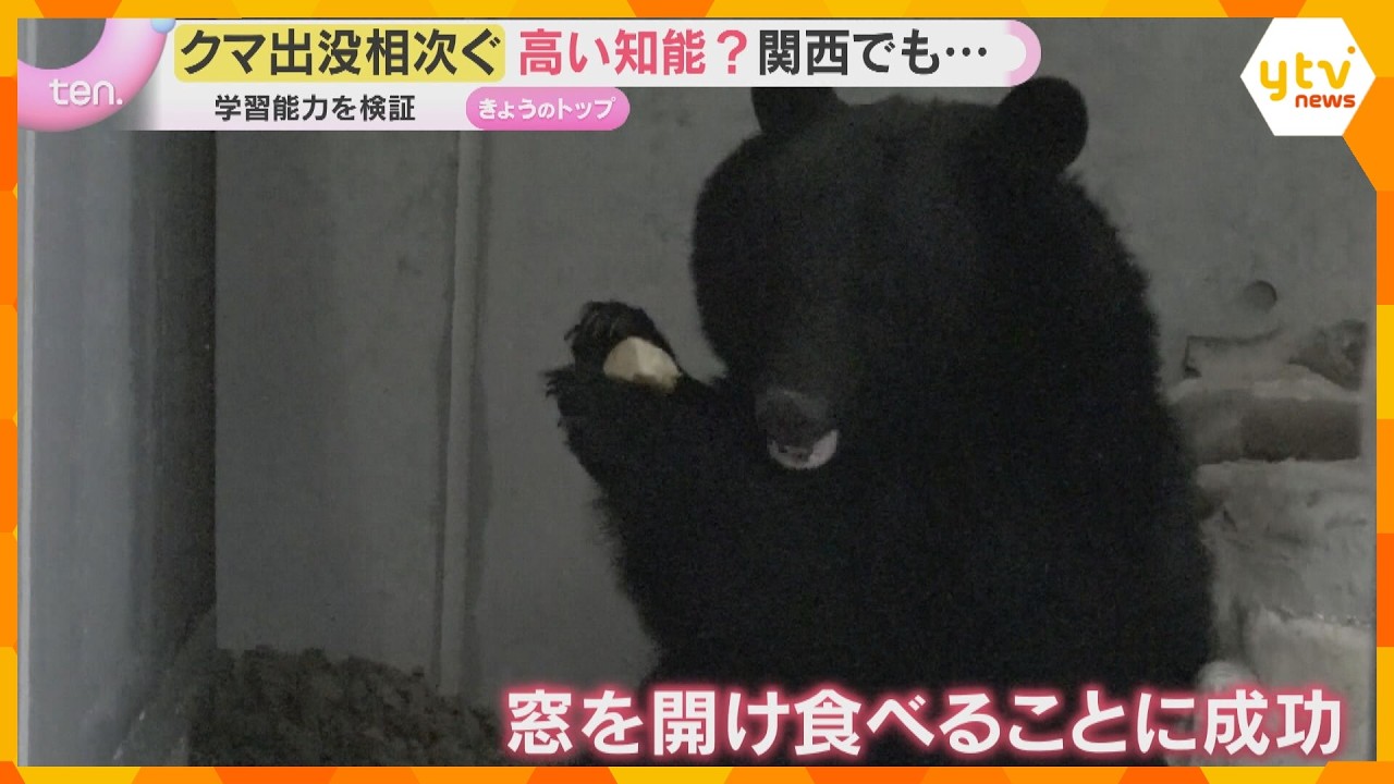 【クマ出没相次ぐ】栃木・宇都宮の中心部で目撃、全小中学校が休校に 窓や蛇口操作も…高い知能に警戒