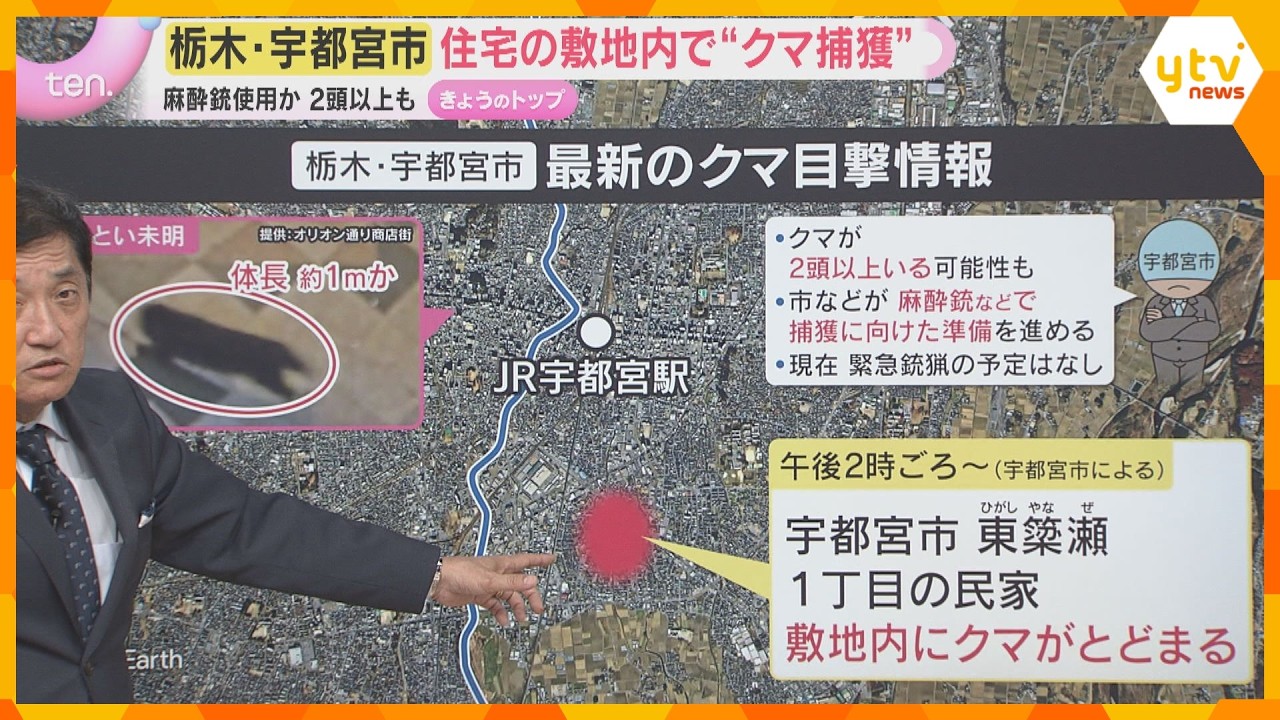 【解説】栃木・宇都宮のクマ「麻酔銃で捕獲」までの経緯 市街地に現れたらどう対処?