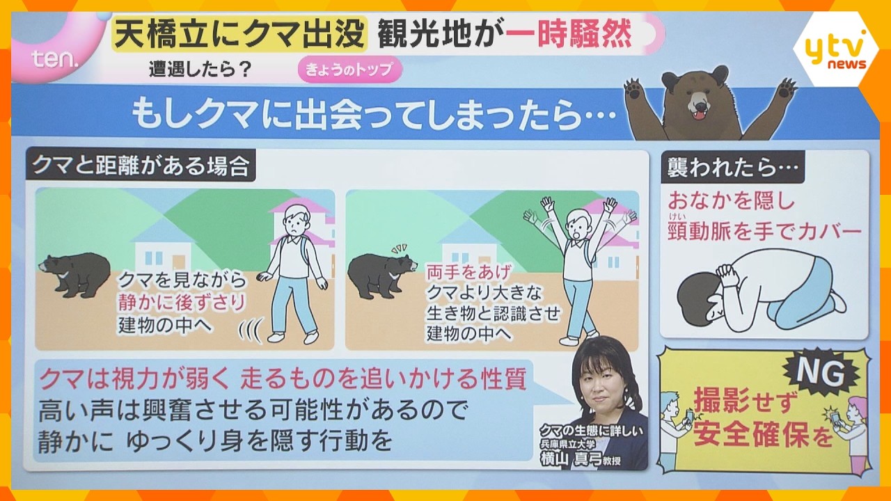 京都・天橋立でツキノワグマが出没し麻酔銃で捕獲 クマは海を泳ぐことも 遭遇したらどう避難?