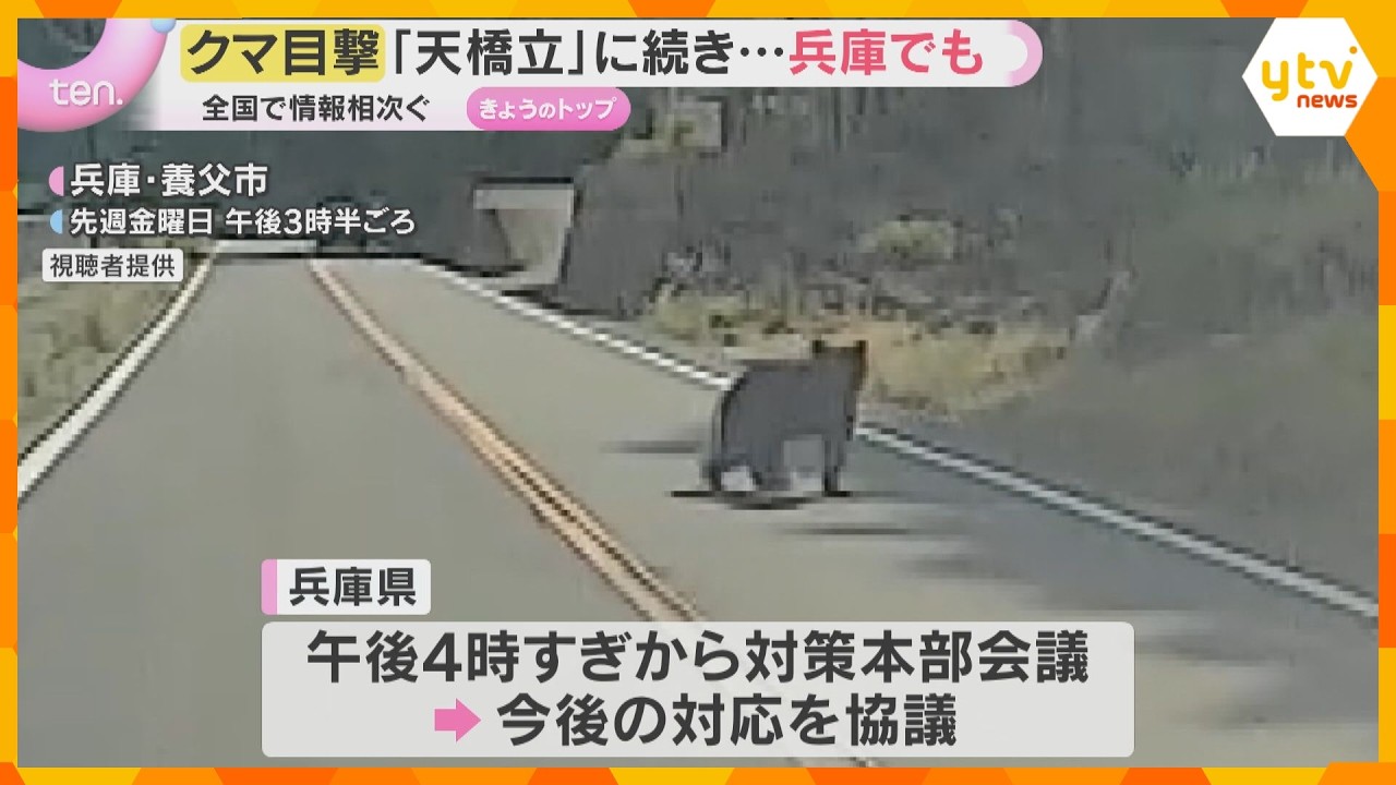 相次ぐクマの出没「天橋立」に続き兵庫県でも 養父市や西宮市、神戸市で目撃 県は対策会議開催へ