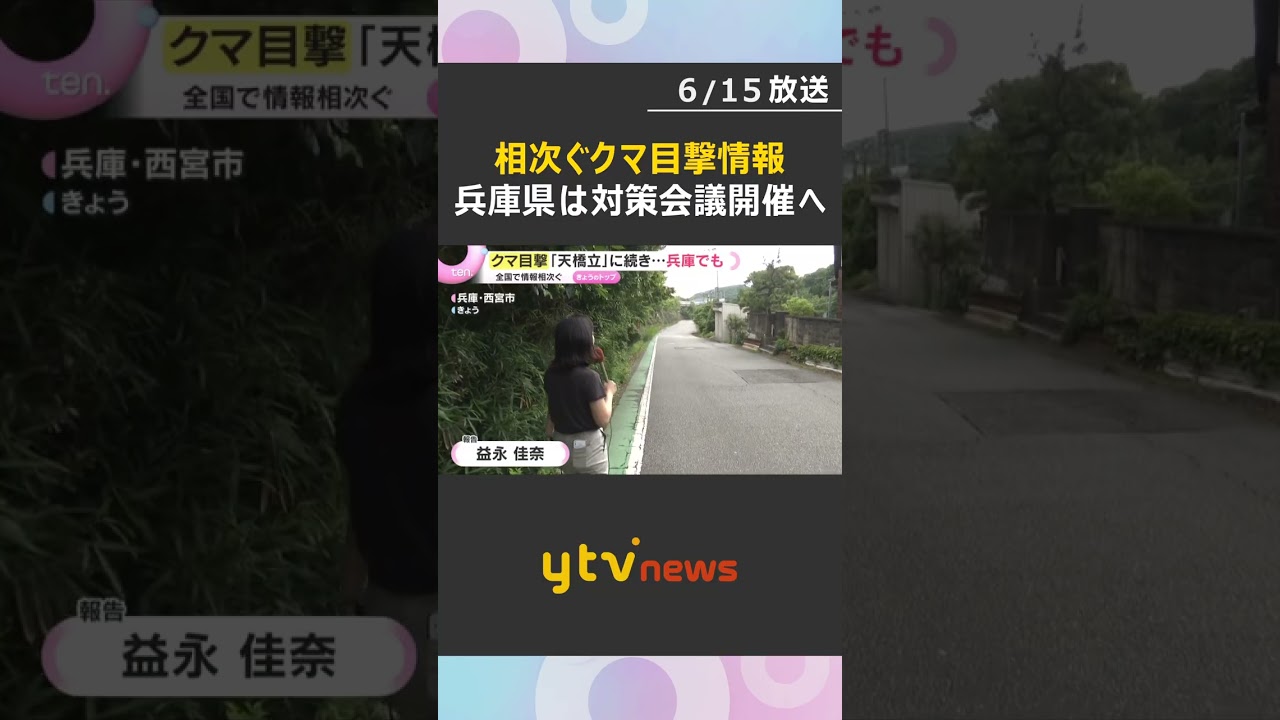 相次ぐクマの出没「天橋立」に続き兵庫県でも 養父市や西宮市、神戸市で目撃 県は対策会議開催へ #shorts #読売テレビニュース