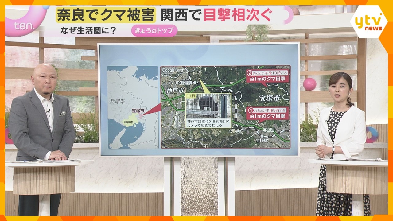 【解説】もはや身近な存在? 相次ぐクマ出没 クマは増えているのか 遭遇しないためにどうすれば…
