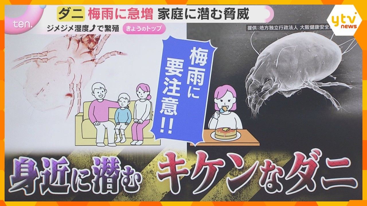 【解説】梅雨に急増　家の中に潜むダニ　アレルギーが悪化する原因になる恐れも　有効な対策とは？