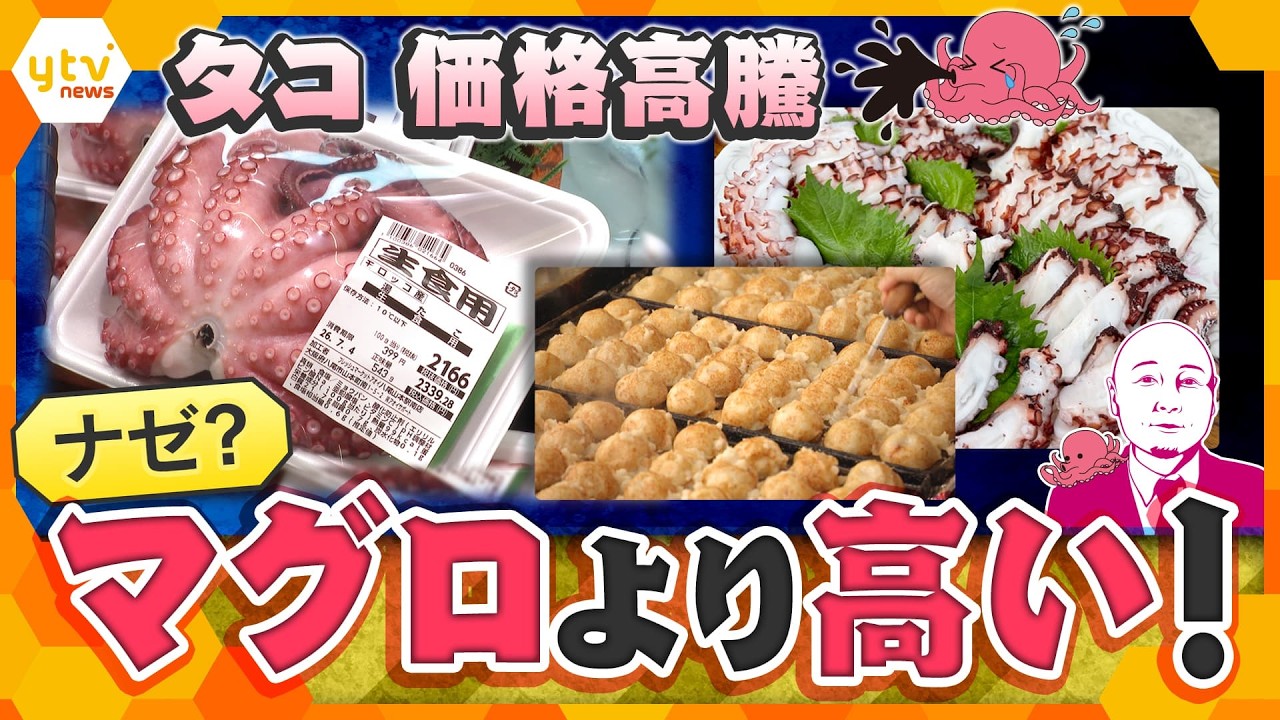 【タカハシ解説】マグロより高い？食卓からタコが消える日…ナゼ？価格が高騰するのか！【かんさい情報ネットten.】