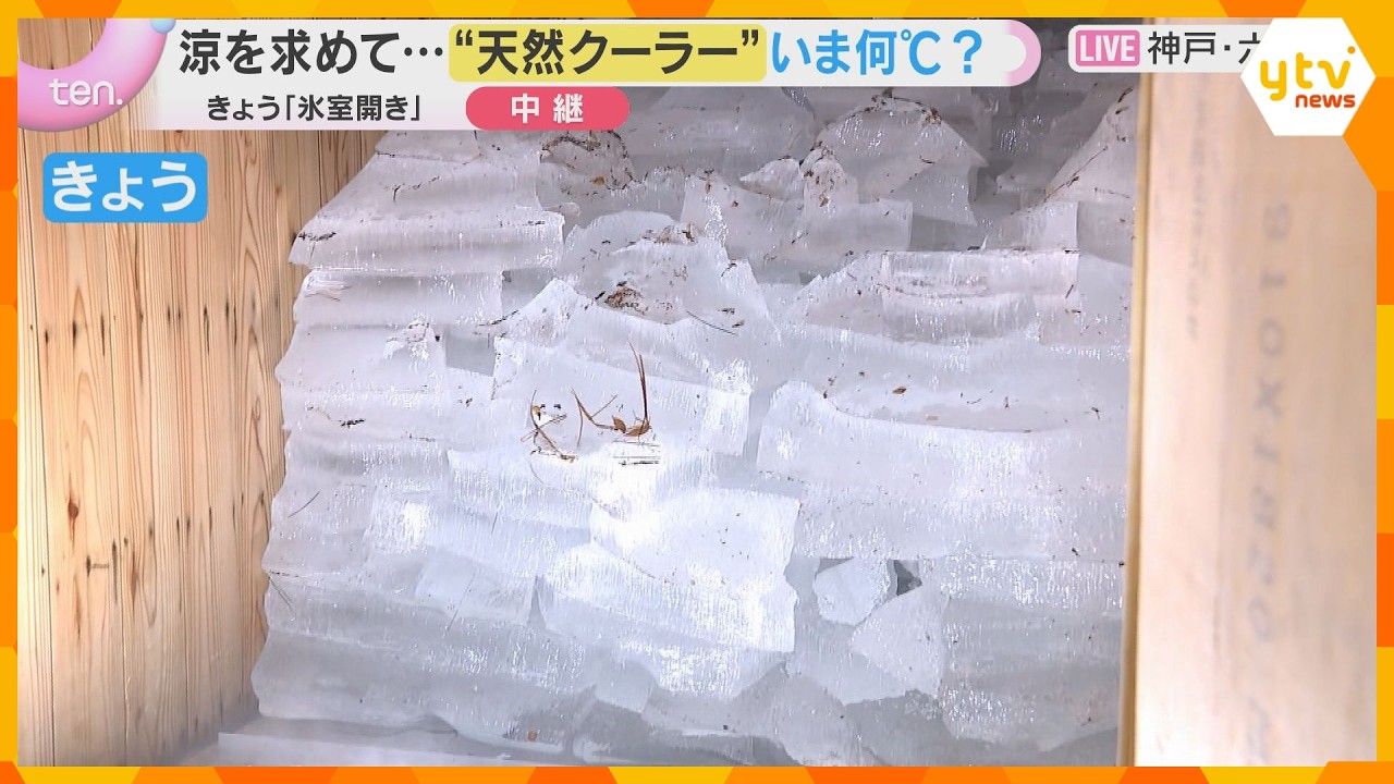 “天然クーラー”六甲山の氷室開き 去年は初めて氷が全て消失…今年は10トン残りひんやり 神戸市