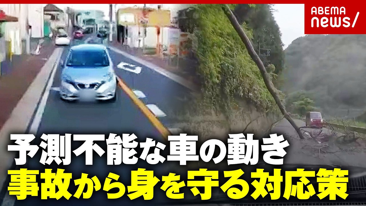 【事故映像】「センターライン越えてきた」「木が倒れてきた」予測不能な事故から命を守る対策とは|ABEMA的ニュースショー