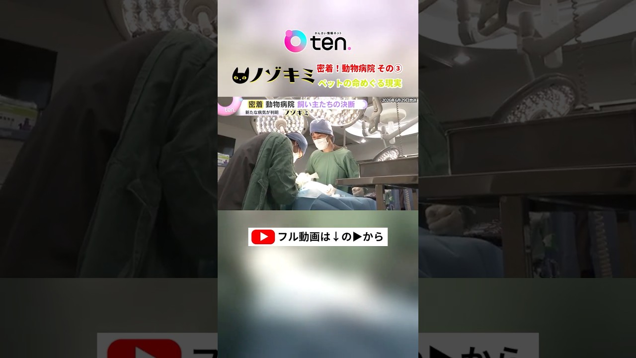 密着!動物病院③ 家族同然のペットが厳しい診断結果に…飼い主たちの決断は!? #読売テレビニュース #かんさい情報ネットten #ノゾキミ