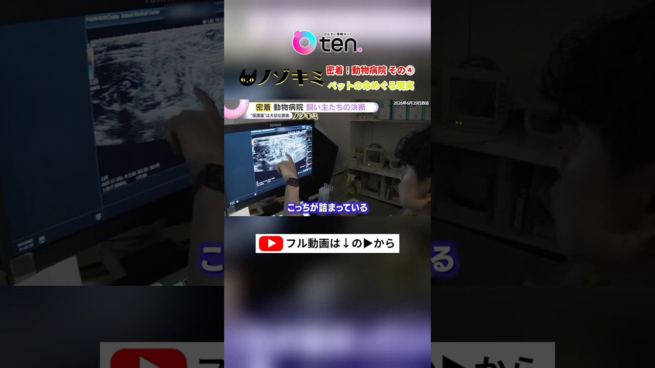 密着!動物病院④ 家族同然のペットが厳しい診断結果に…飼い主たちの決断は!? #読売テレビニュース #かんさい情報ネットten #ノゾキミ