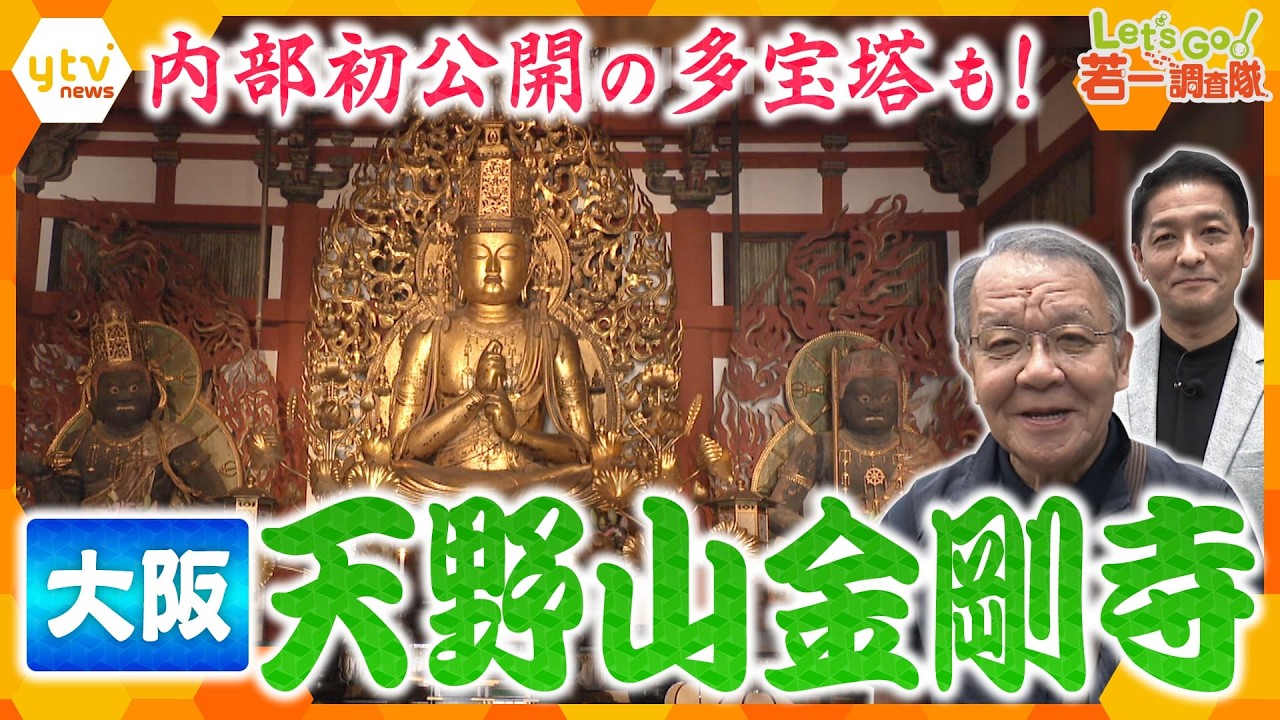 【若一調査隊】国宝に非公開のお堂、メディア初公開の多宝塔も!いくつもの歴史が折り重なる名刹「天野山金剛寺」