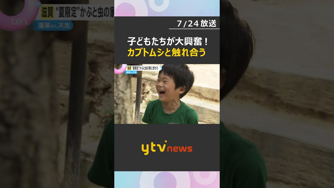 「うれしい!」子どもらが興奮 カブトムシと触れ合える施設オープン 滋賀・比叡山ドライブウェイ#shorts #読売テレビニュース