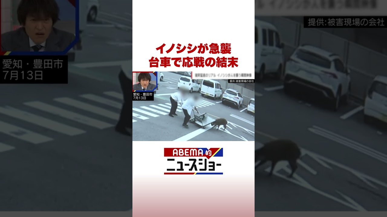 イノシシが急襲 台車で応戦の結末 #ABEMA的ニュースショー #Shorts