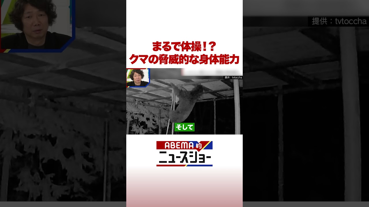 まるで体操!? クマの脅威的な身体能力 #ABEMA的ニュースショー #Shorts