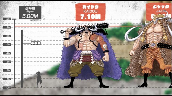 One Piece 身長比較まとめ 気ままに ワンピース ひとつなぎの秘宝を求めて